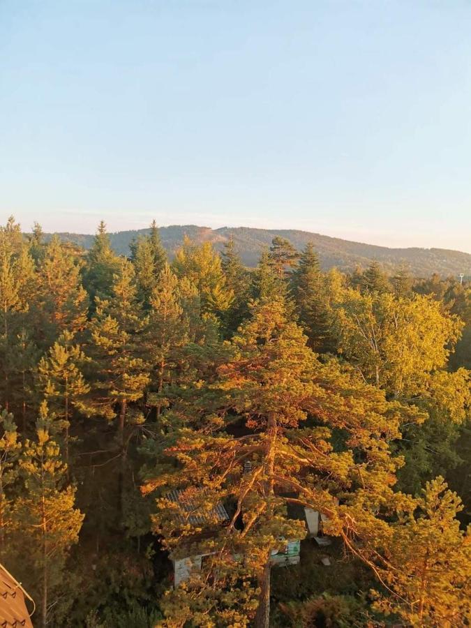 Divcibare Planinski Mir A19 Eksteriør bilde