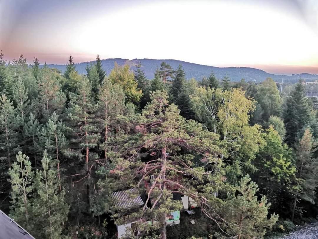 Divcibare Planinski Mir A19 Eksteriør bilde