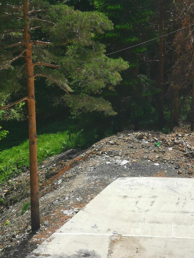 Divcibare Planinski Mir A19 Eksteriør bilde